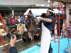 ������r�g���񂱂��Ղ�̎ʐ^1