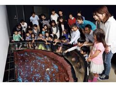 �������ق��邢���̔����V���[�̎ʐ^1