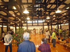 ��v���̂����ւ܂�̎ʐ^1