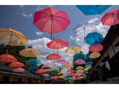 �A���u�����X�J�C�̎ʐ^1