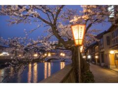 ��v�������X�̍��̎ʐ^1