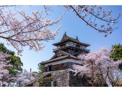 �ۉ�����܂�̎ʐ^1