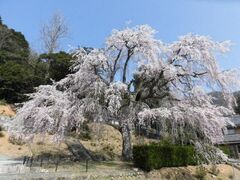 ���S���̂�������̎ʐ^1