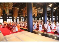 �g���R�v�����@�ߕ���̎ʐ^1