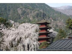 �g���R���ӂ̍��̎ʐ^1