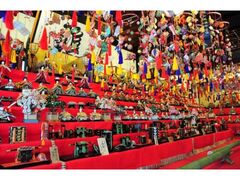 �b�B�s���񂴂񓍌����@�Ђȏ���Ɠ��̉Ԃ܂�̎ʐ^1