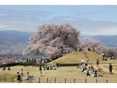 �J���s�������t�܂�̎ʐ^1