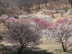 �b��~���~�̗��@�~�̌����̎ʐ^1