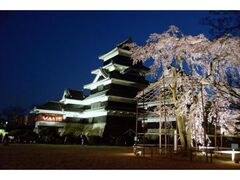 ���󏼖{��u�����v�̎ʐ^1