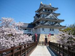 ���̂܂����܂�̎ʐ^1