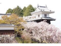 �⑺�鑾�ۘE�̎}������̎ʐ^1