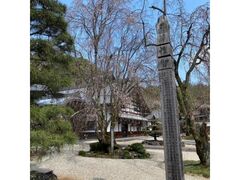 ���᎛�̂�������̎ʐ^1