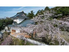 ���q�����@������܂�̎ʐ^1