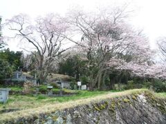 �搭���R�@�喼���̎ʐ^1