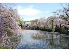 �O����Ђ̍��̎ʐ^1