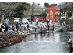 �x�m�{�܂�����̎ʐ^1