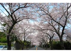 �ɓ������w���ӂ̍��̎ʐ^1