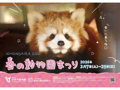 ���{���������@�t�̓������܂�̎ʐ^1