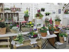 �������ԓW����̎ʐ^1