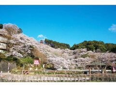 ���Ȃ�������܂�i���R�����j�̎ʐ^1