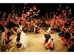 ����̓c�V�т̎ʐ^1