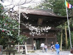 �@���R���i���̍��̎ʐ^1