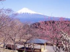 ��{�R�����̍��̎ʐ^1