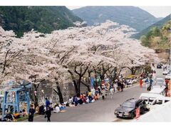 �H�t�_����{���̎ʐ^1