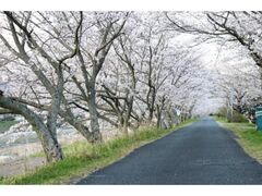 ���V���@����̎ʐ^1