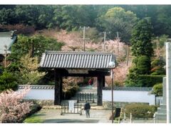 �{�����̍��̎ʐ^1