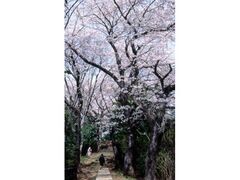 �ˋ@�R�̍��̎ʐ^1