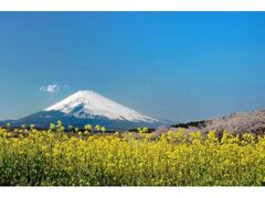 xmR̃pm}[h̔~ƍ̊JԂ̎ʐ^1