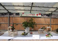 ���É���΂��W�̎ʐ^1