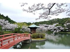 ����������̍��̎ʐ^1