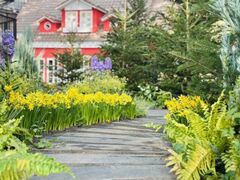 �f���p�[�N�u�t�����[�t�F�X�e�B�o���v�̎ʐ^1