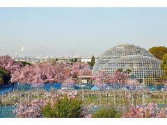 �V�_���U�N���܂�̎ʐ^1