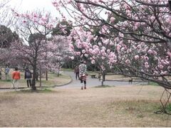 �t�܂�i���߁j�̎ʐ^1