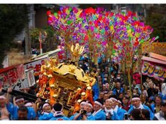 ���p�_�Ё@�L�N�Ղ̎ʐ^1