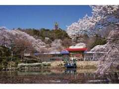 ���{�����L�[�p�[�N�̍��̎ʐ^1