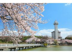 ��R����������܂�̎ʐ^1