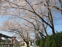 �ƃP�r�����̍��̎ʐ^1