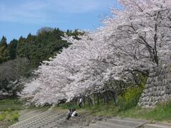 �V�邳����܂�̎ʐ^1