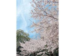 ���q�R������܂�̎ʐ^1