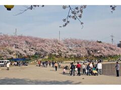 �V��������̍��̎ʐ^1