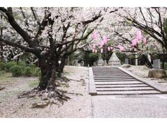 ��R�Βn�̍��̎ʐ^1