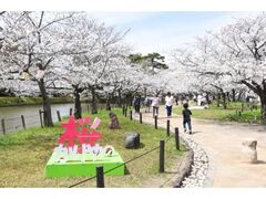 �T������@���܂�̎ʐ^1