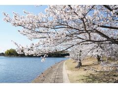 �F�������@���܂�̎ʐ^1