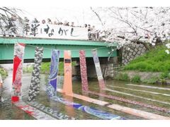 ����F�T�����̎ʐ^1