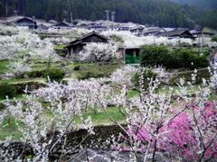 �씄�̔~�̎ʐ^1