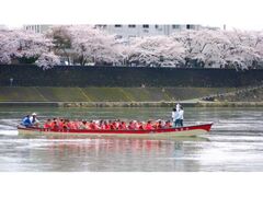 �t�̌��R��V���D�̎ʐ^1